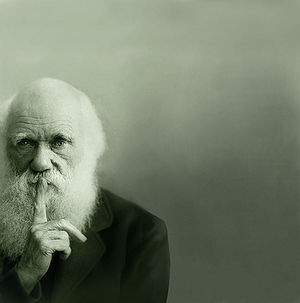 Darwin shhhhhhh.jpg
