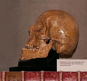 Erasmus-schedel.jpg