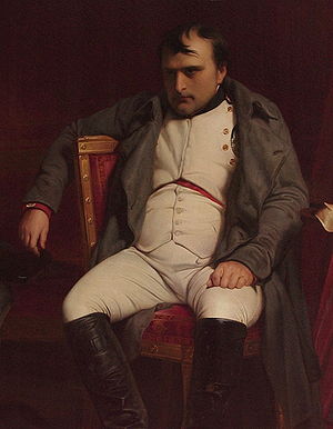 Napoleon-na-waterloo.jpg