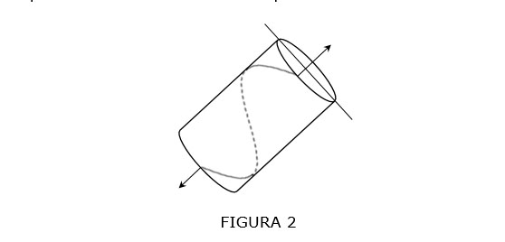 Figura 2.jpg