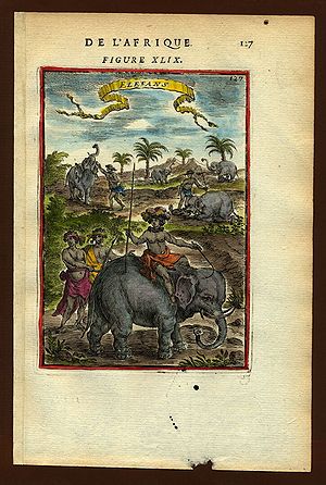Elephants1683.jpg