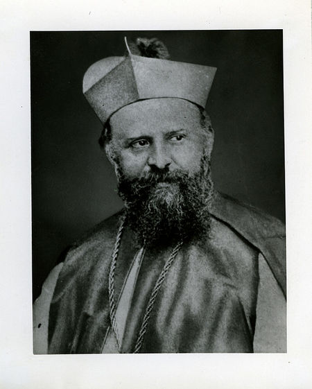 Daniel Comboni Enciclopedia Católica