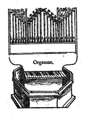 Órgano III.jpg
